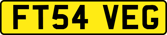FT54VEG