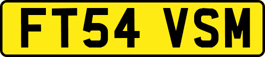 FT54VSM