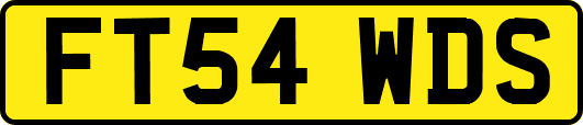FT54WDS