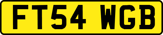 FT54WGB
