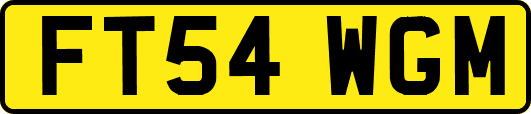 FT54WGM