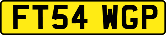 FT54WGP