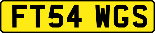 FT54WGS