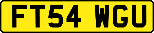 FT54WGU