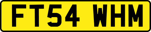 FT54WHM