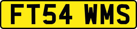 FT54WMS