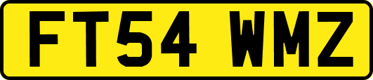 FT54WMZ