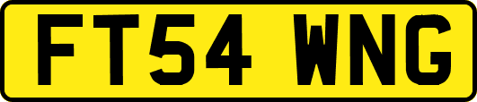 FT54WNG