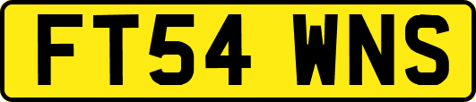FT54WNS