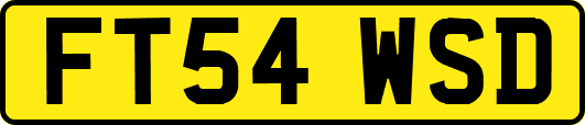 FT54WSD