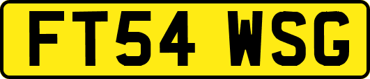 FT54WSG