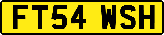 FT54WSH