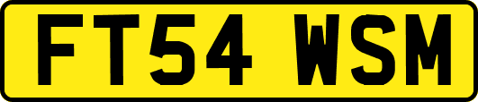 FT54WSM