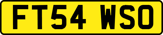 FT54WSO