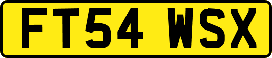 FT54WSX