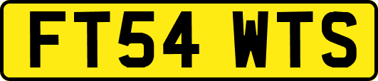 FT54WTS