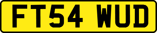 FT54WUD