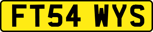 FT54WYS