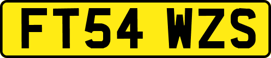 FT54WZS