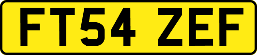 FT54ZEF
