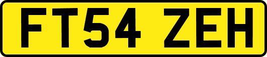 FT54ZEH