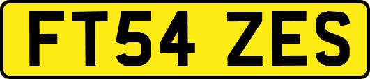 FT54ZES