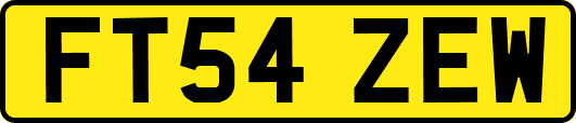 FT54ZEW