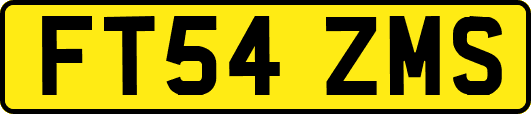 FT54ZMS