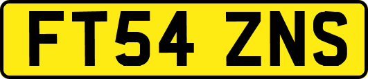 FT54ZNS