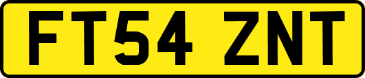 FT54ZNT