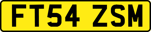 FT54ZSM
