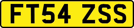 FT54ZSS