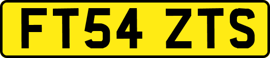 FT54ZTS