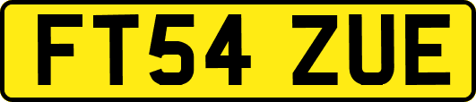 FT54ZUE
