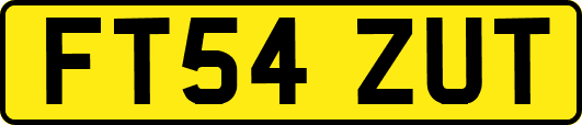 FT54ZUT
