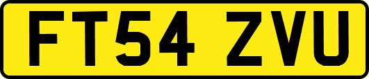 FT54ZVU