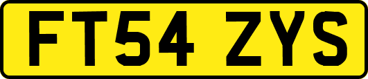 FT54ZYS
