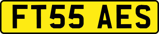FT55AES