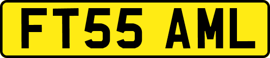 FT55AML