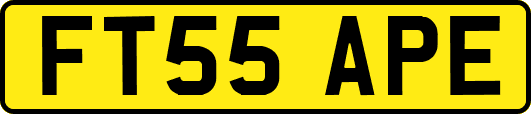 FT55APE