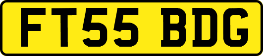 FT55BDG