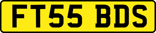 FT55BDS