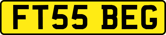 FT55BEG