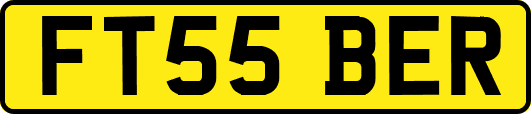 FT55BER