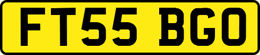 FT55BGO