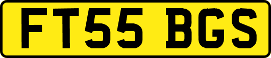 FT55BGS