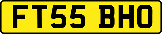 FT55BHO
