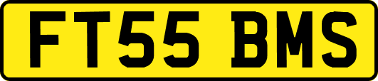 FT55BMS