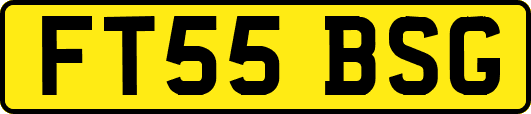 FT55BSG
