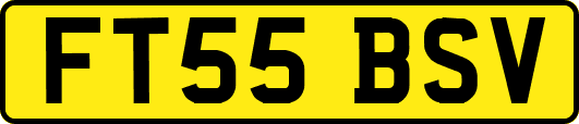 FT55BSV